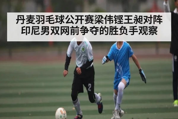 丹麦羽毛球公开赛梁伟铿王昶对阵印尼男双网前争夺的胜负手观察